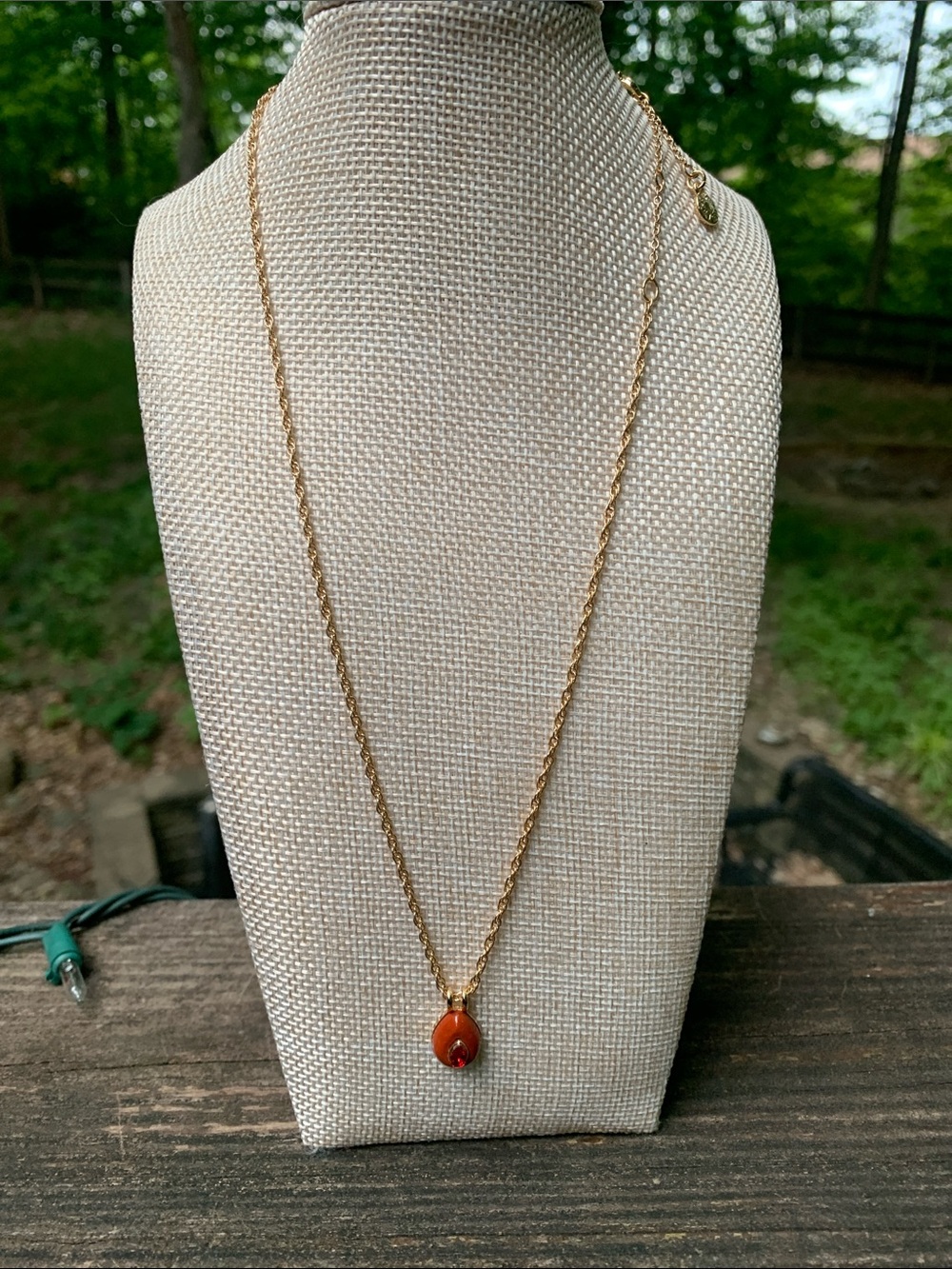 NWOT BaubleBar Gold Chain Necklace with Red Jasper Teardrop Pendant